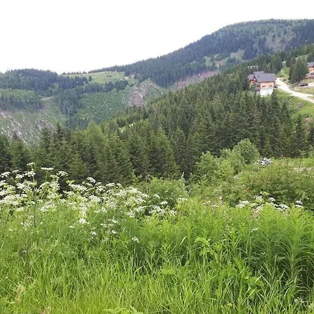Waldenstein 1 Comfortable Holiday home *